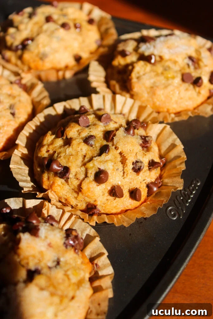 Banana chocolate chip muffins