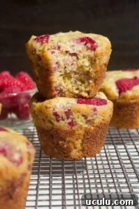 Raspberry Oatmeal Muffins