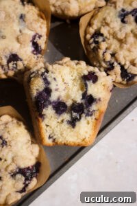 Blueberry Coffee Cake Muffins