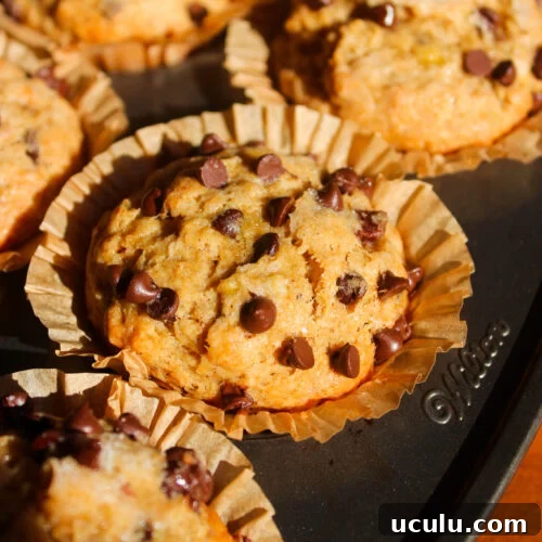 Banana Chocolate Chip Muffins
