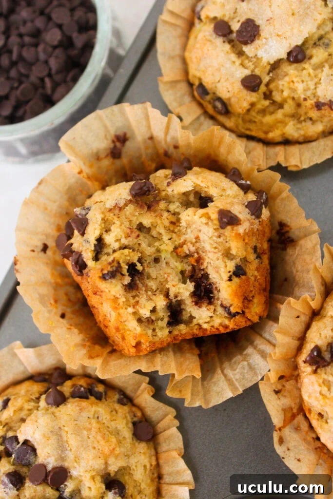Muffin batter with chocolate chips