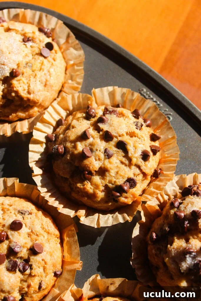 Banana muffins cooling