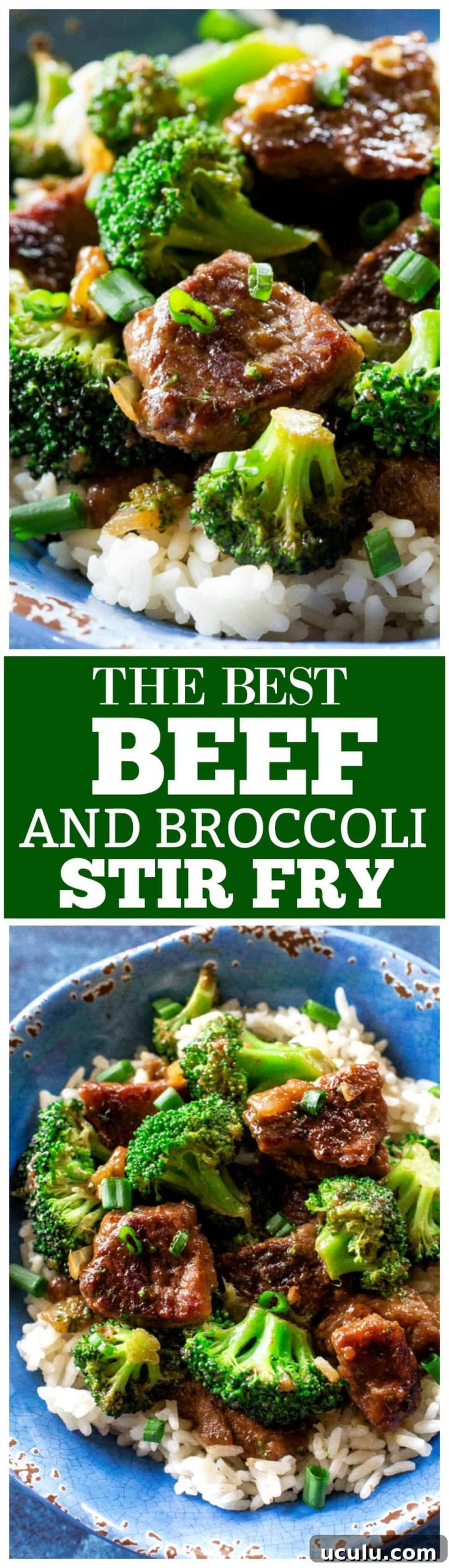 Beef and Broccoli Stir Fry - an easy dinner that tastes like take out! #beef #broccoli #stirfry #easy #dinner