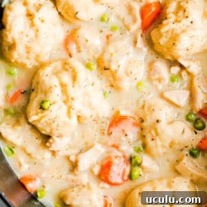 close up on vegan chicken soup and dumplings in a large black pot.