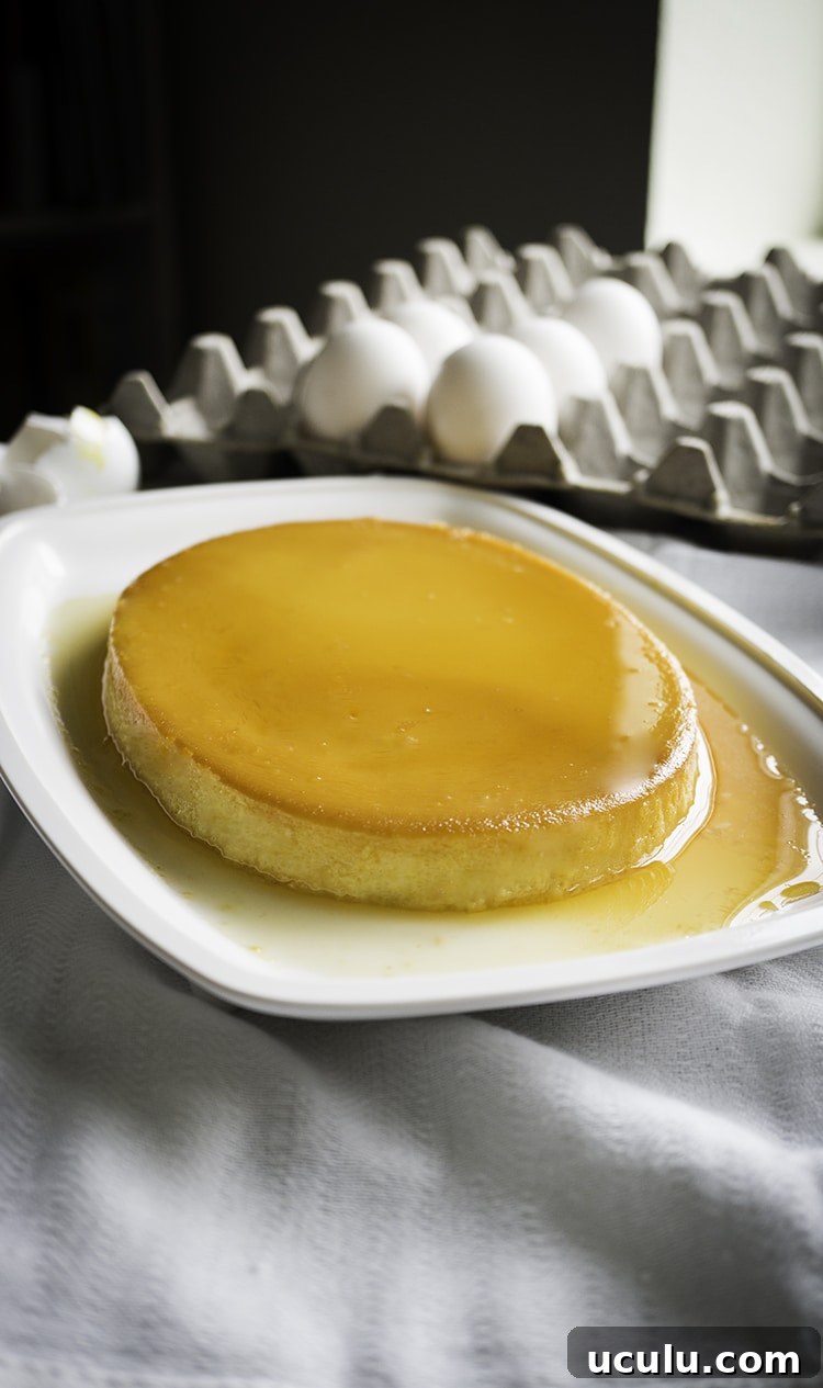 LECHE FLAN RECIPE ( BEST LECHE FLAN EVER NO BUBBLES SMOOTH SUPER creamy 3 ingredient ready in 40 minutes)