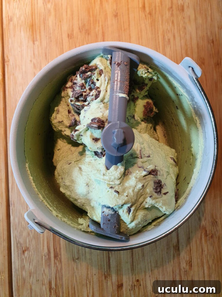 churned ice cream with choc chips