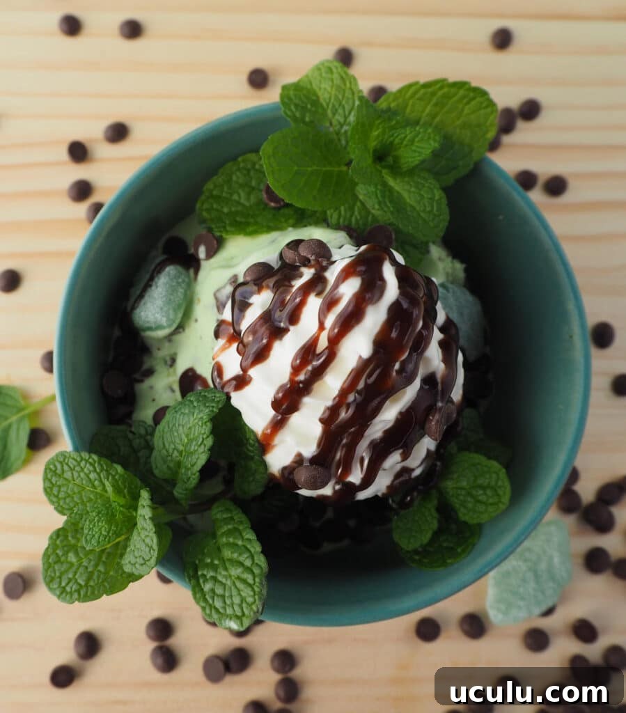 Mint choc chip ice cream with chocolate sauce and cream