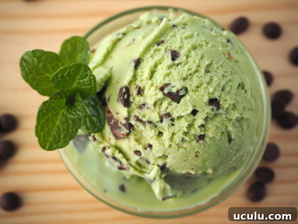 Mint choc chip ice cream with mint sprig