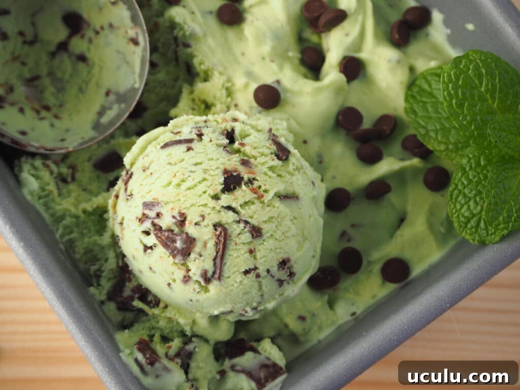 Mint choc chip ice cream with scoop