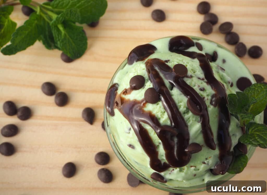 Mint choc chip ice cream with chocolate sauce