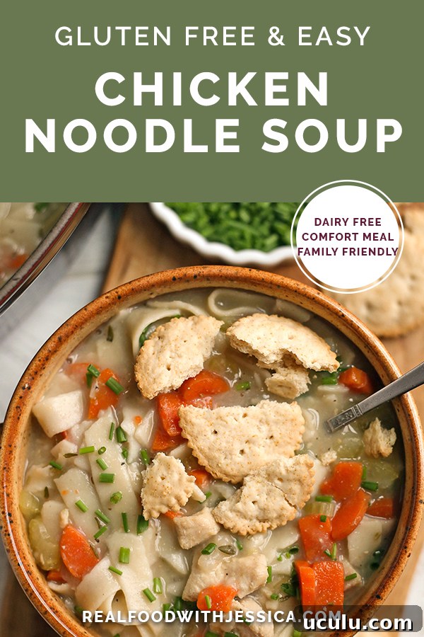 a bowl of chicken noodle soup with text overlay.