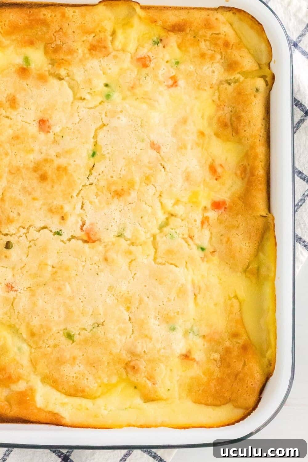 9x13" baking pan filled with freshly baked chicken cobbler made with red lobster biscuit mix