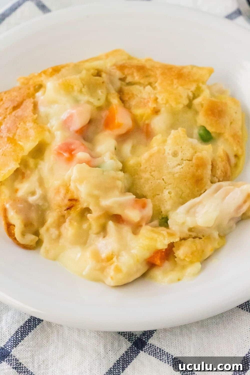 chicken and biscuit cobbler served on a white plate, showing tender chicken, vegetables, and a biscuit crust.