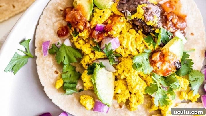 A stuffed vegan breakfast taco on a plate with cilantro, beans and avocado.