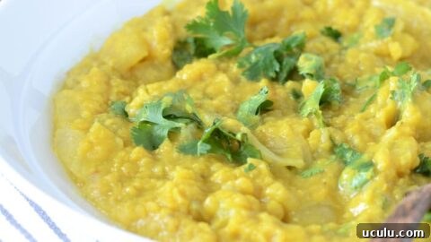 Coconut Red Lentil Dahl - Healthy, Vegan and Super SImple