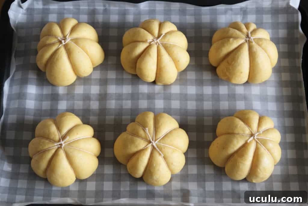 Pumpkin Buns & Shiitake BLT Sandwich