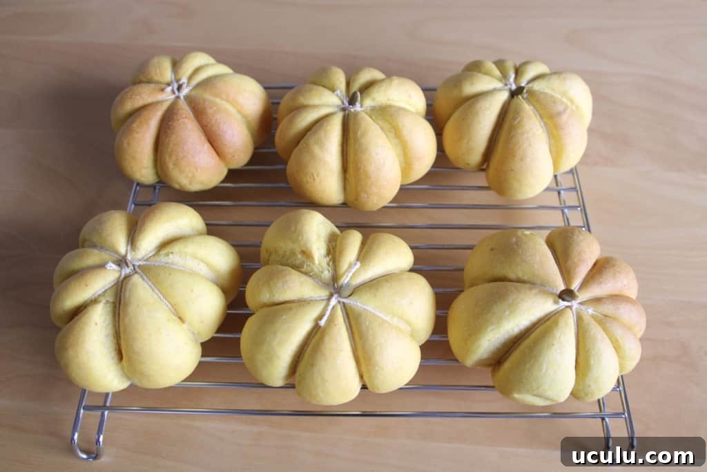 Pumpkin Buns & Shiitake BLT Sandwich
