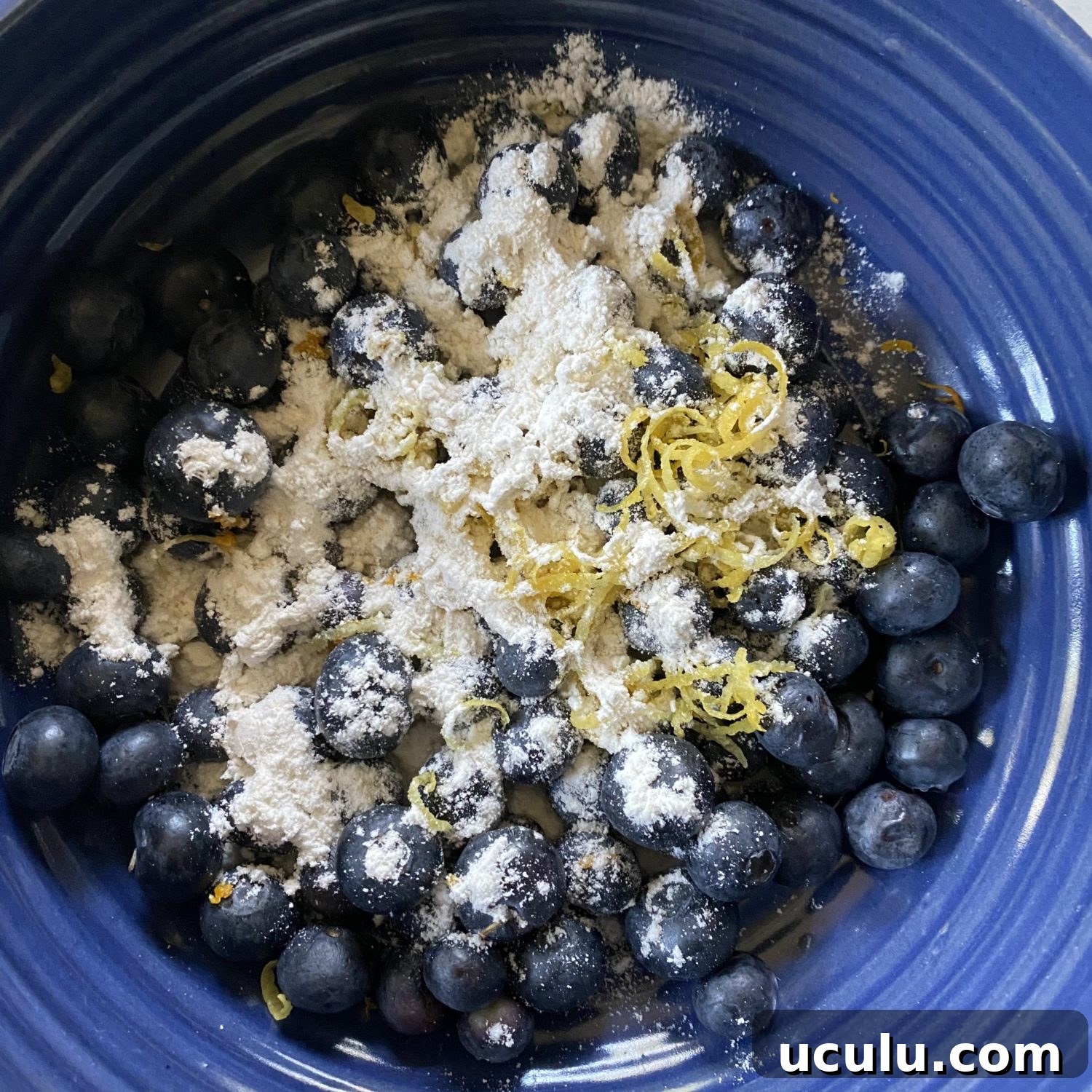 blueberries in a roy bowl
