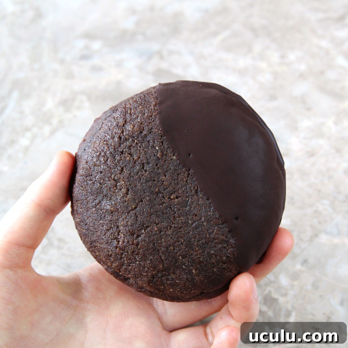 Vegan Double Chocolate Cookies made with Avocado
