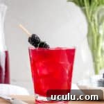 Blackberry mint mocktail5