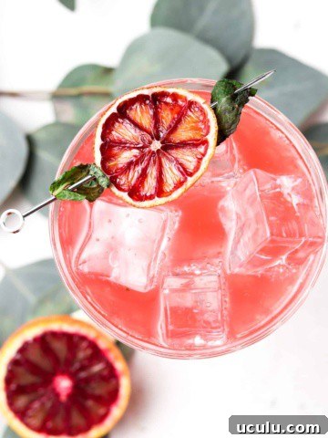 Overhead shot of a blood orange mojito in a glass with a dehydrated blood orange on the edge.