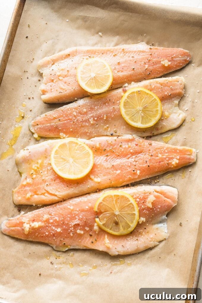 Uncooked rainbow trout filets on a sheet pan with garlic and lemon on top.