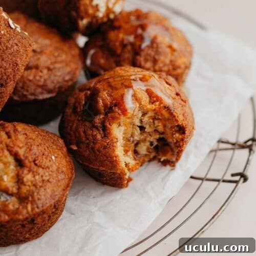 Several muffins on parchment paper, one muffin has a bite taken out of it.