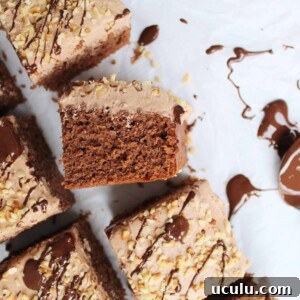 GLUTEN FREE NUTELLA CAKE 122
