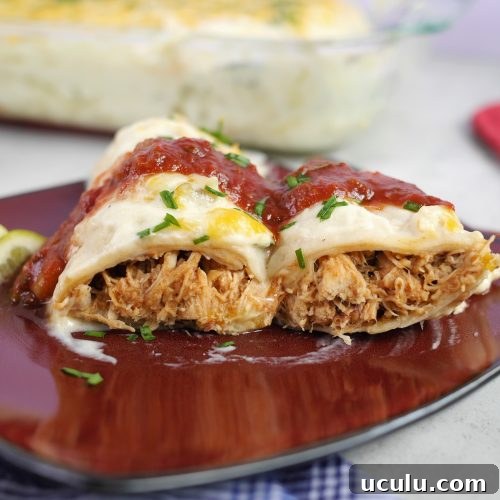 Slow cooker chicken enchiladas