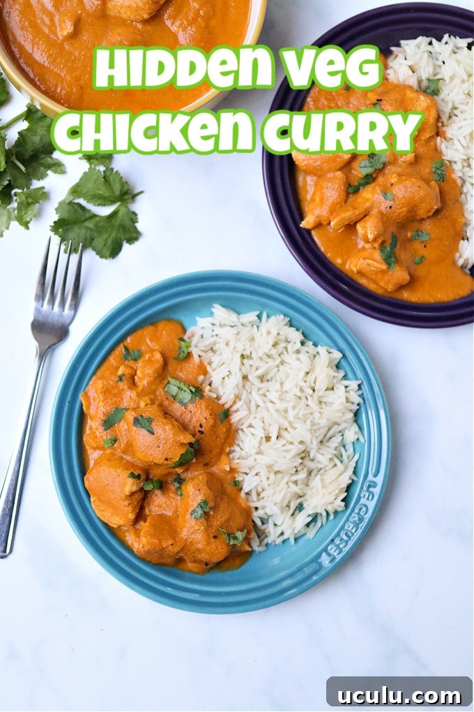 Hidden veg chicken curry served on a light blue,round dinner plate, alongside fluffy white rice, and garnished with fresh coriander.