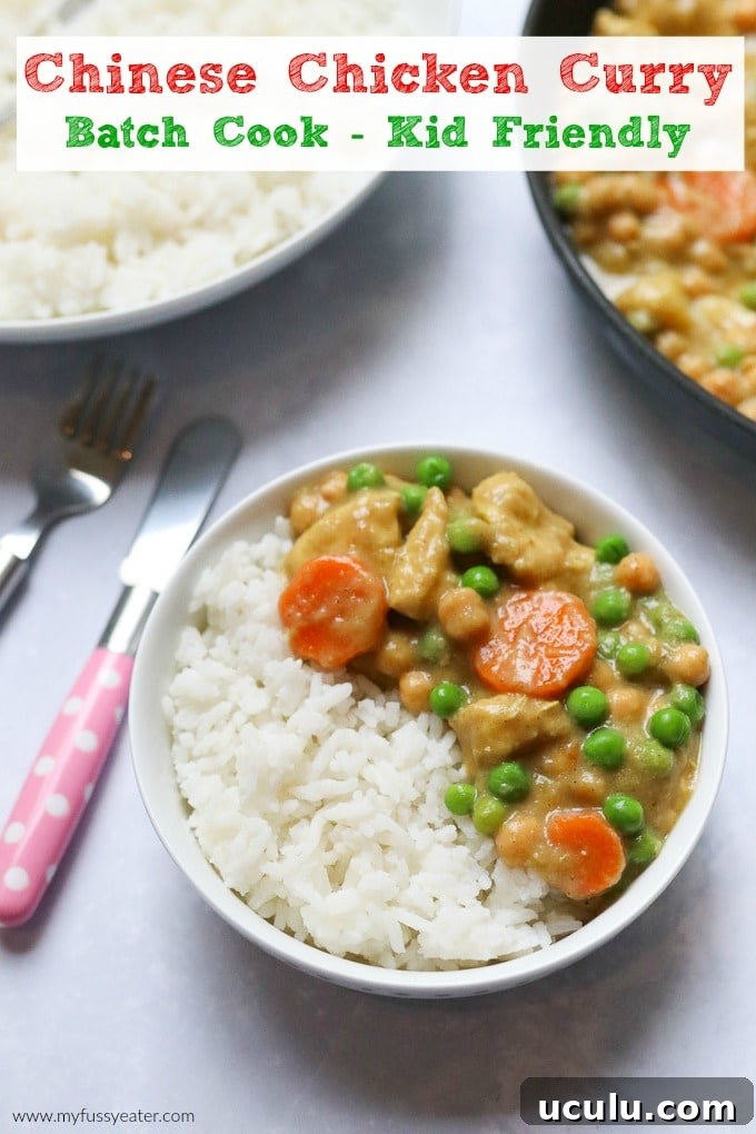 Chinese Chicken Curry served in a small,round white bowl alongside white rice.