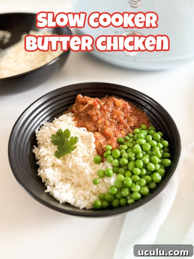 Slow cooker butter chicken served with rice.