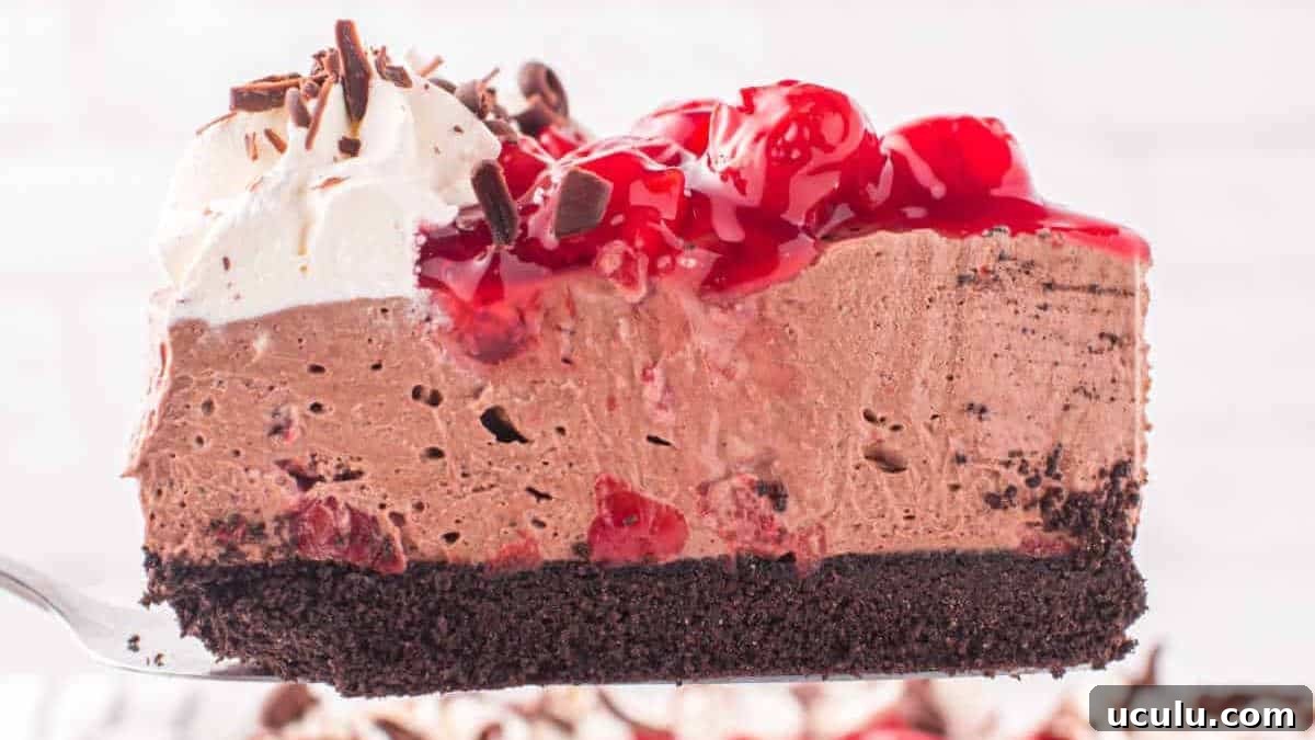 Black Forest Cheesecake