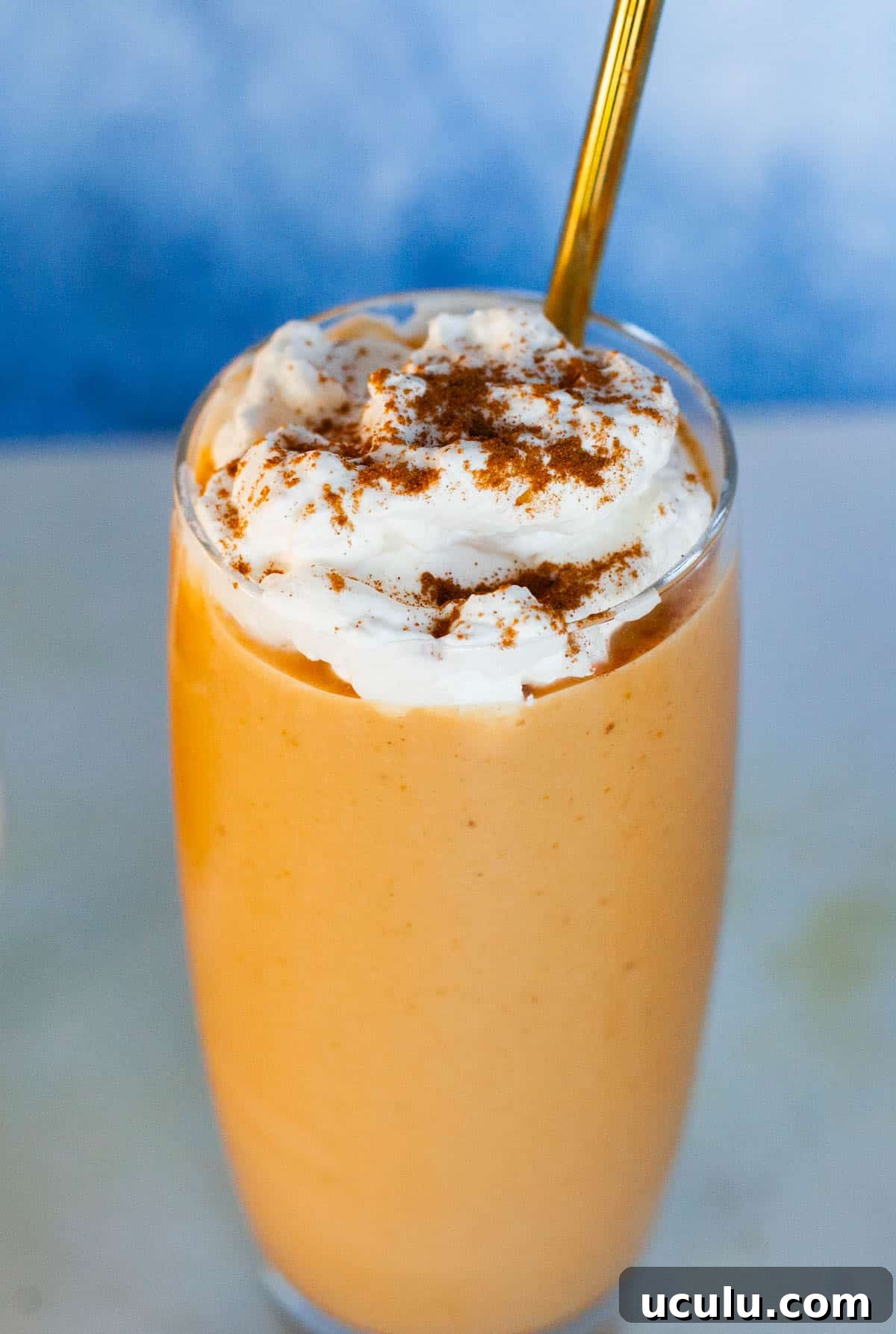 Pumpkin smoothie with cinnamon sprinkled on top of whipped cream.