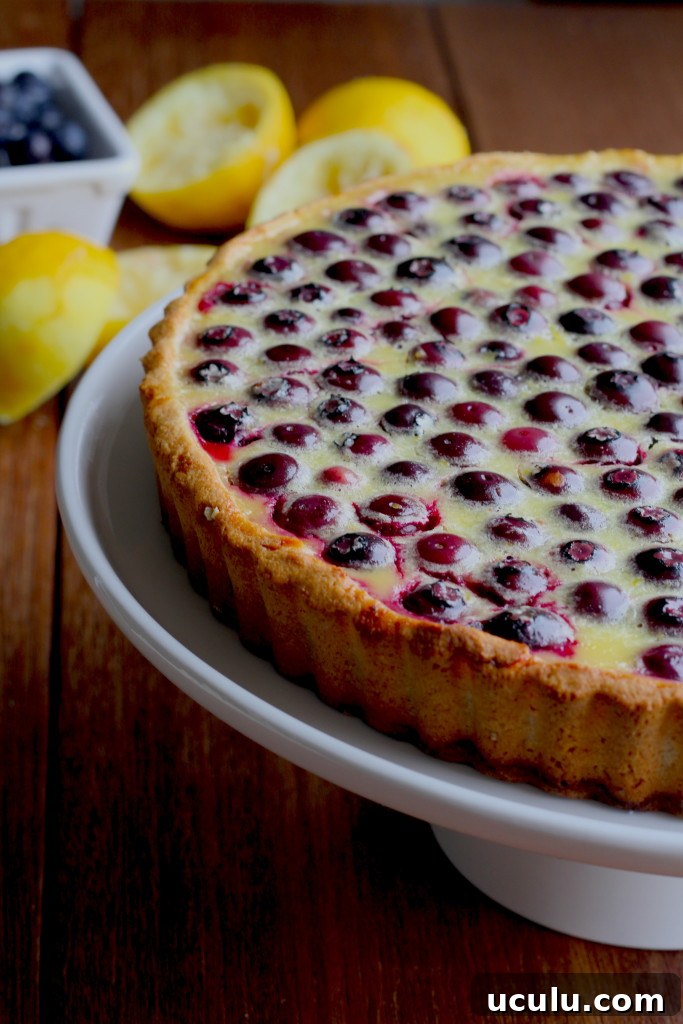 blueberry lemon tart