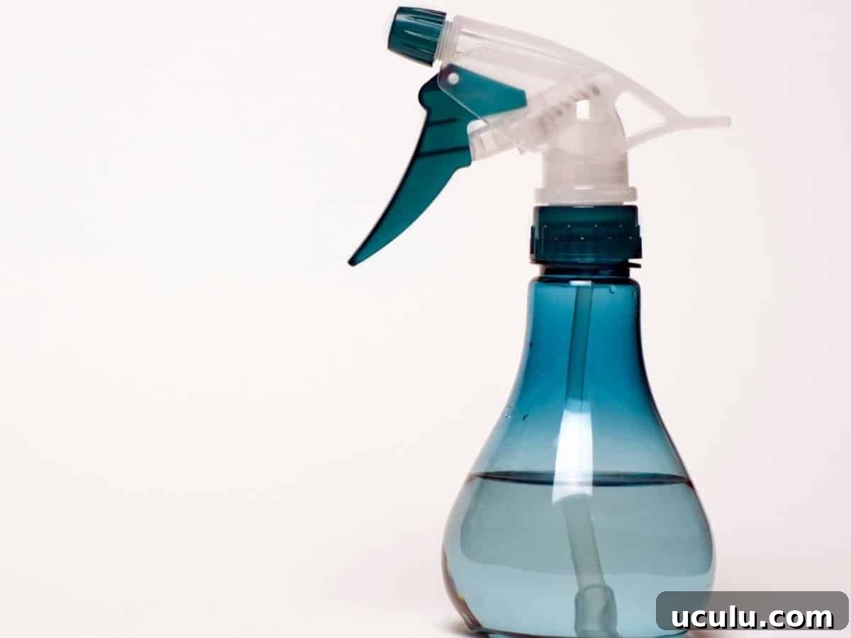 Spray water bottle.