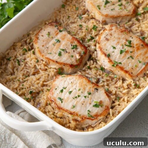 seared pork chops and rice in a white casserole dish.