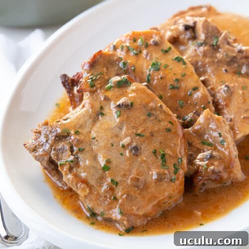 crock pot pork chops in sauce on a white oval platter.