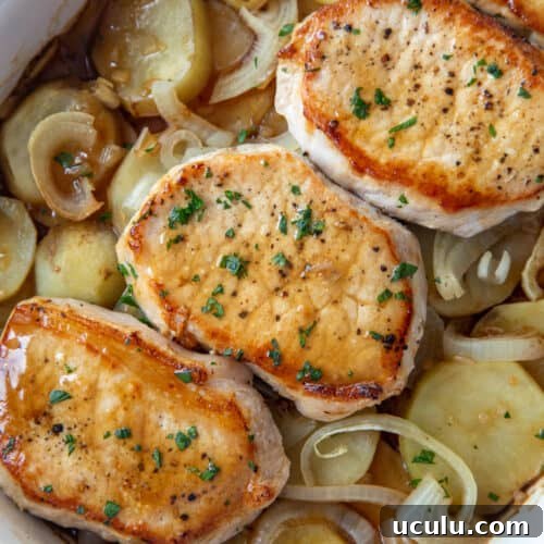 three pork chops on top of sliced potatoes and onions in a casserole dish.
