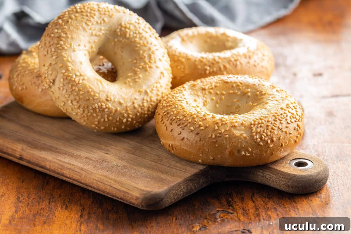 New York Bagel