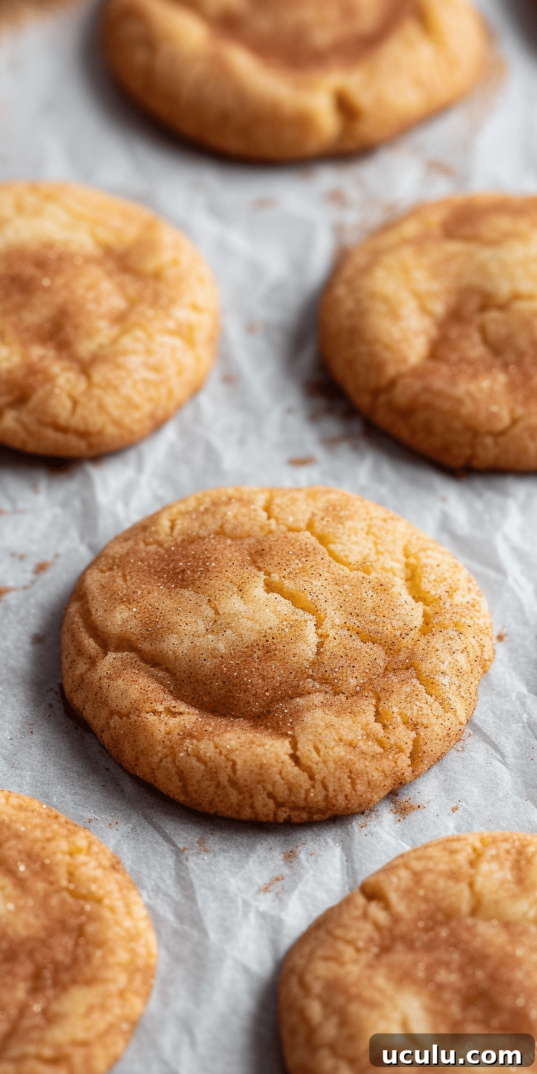 Snickerdoodle cookies on parchment