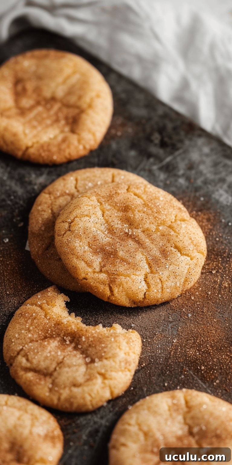 Stack of snickerdoodle cookies
