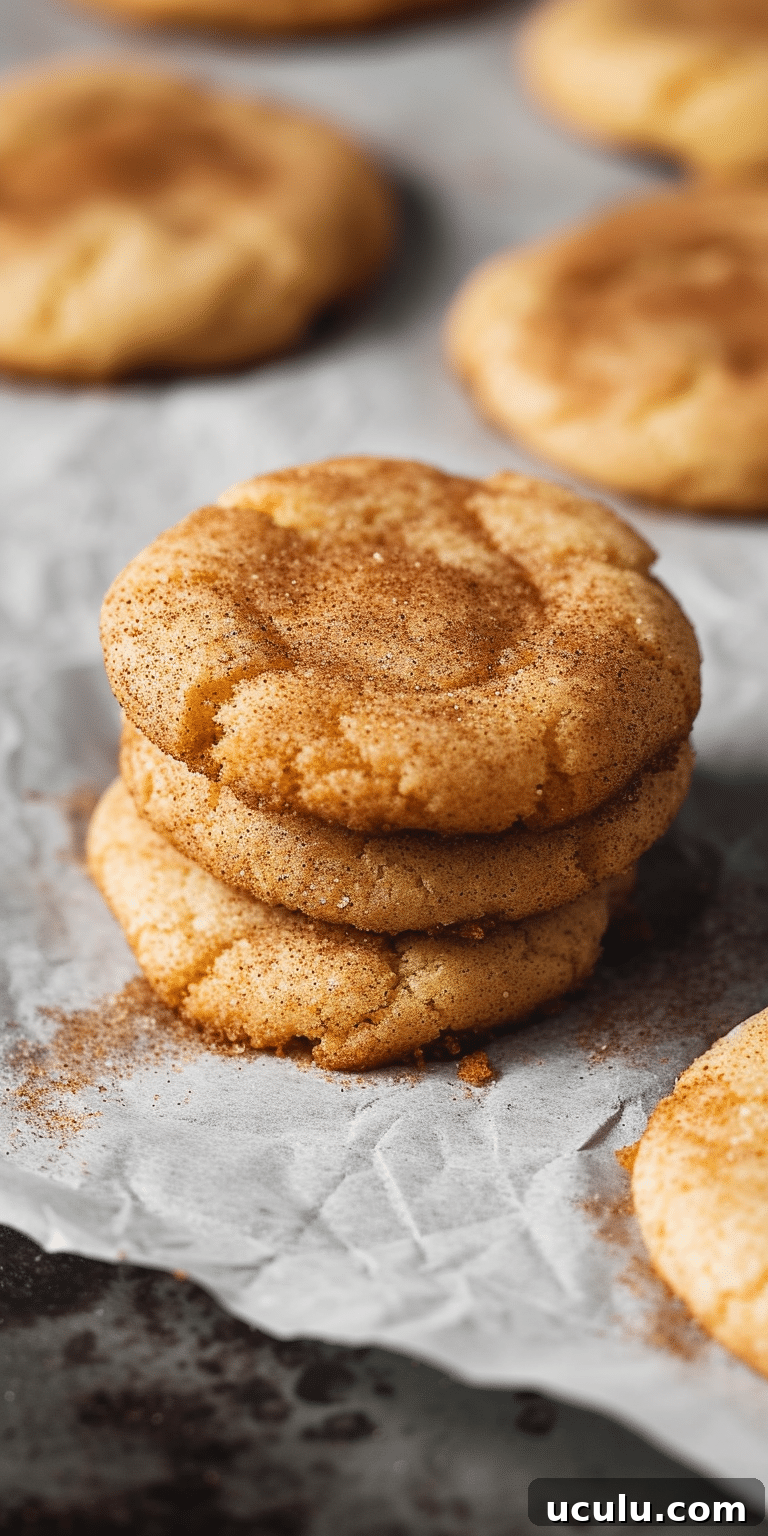 Snickerdoodles on parchment