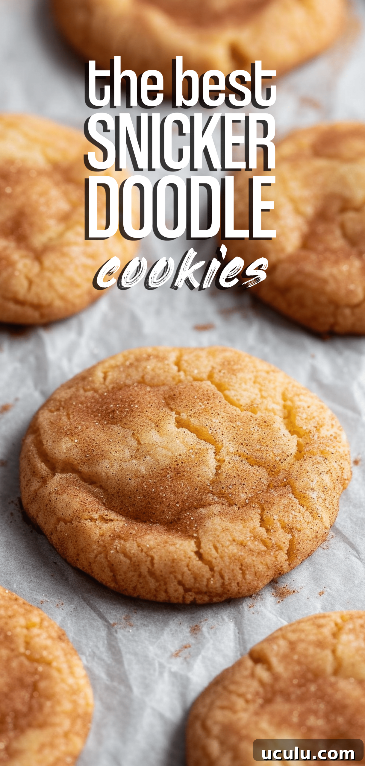 The best snickerdoodle cookies