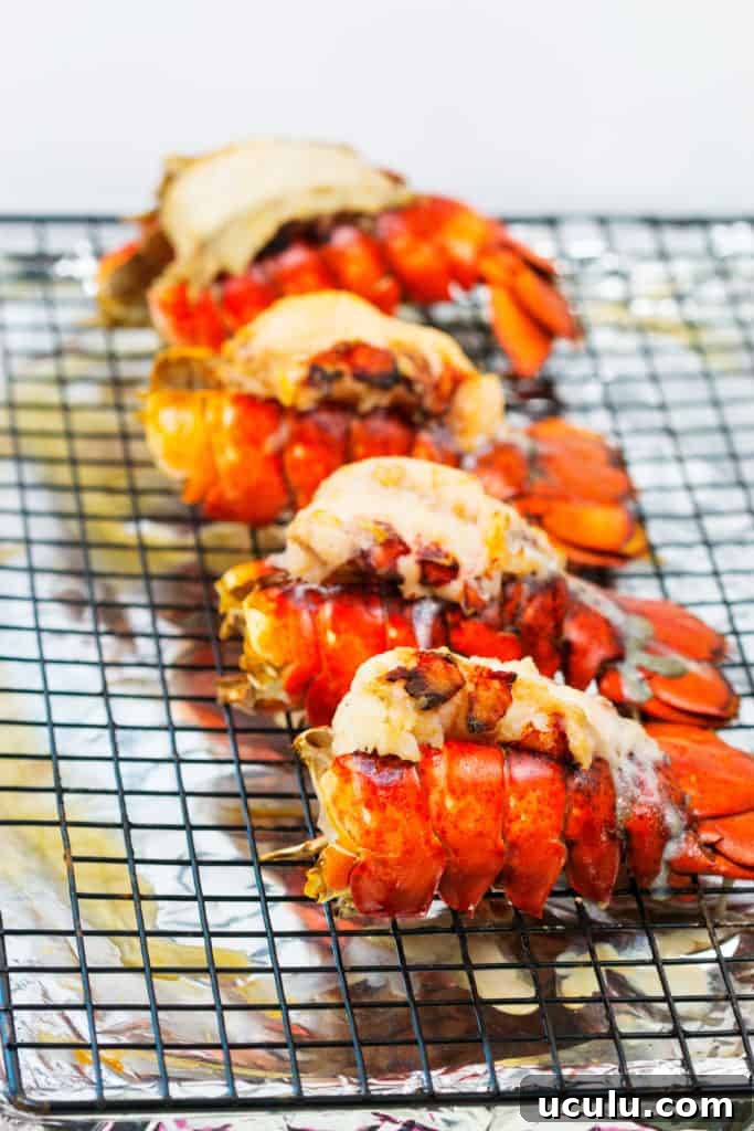lobster cakes