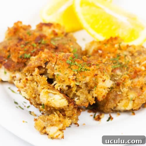 lobster cakes