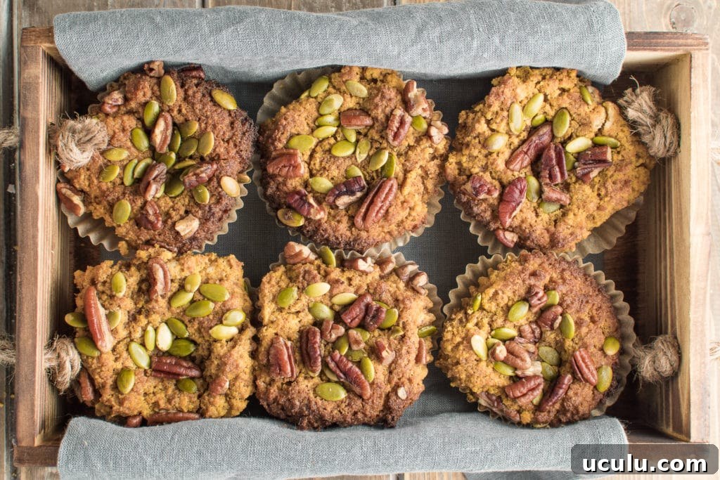6 low carb pumpkin muffins in a tray.