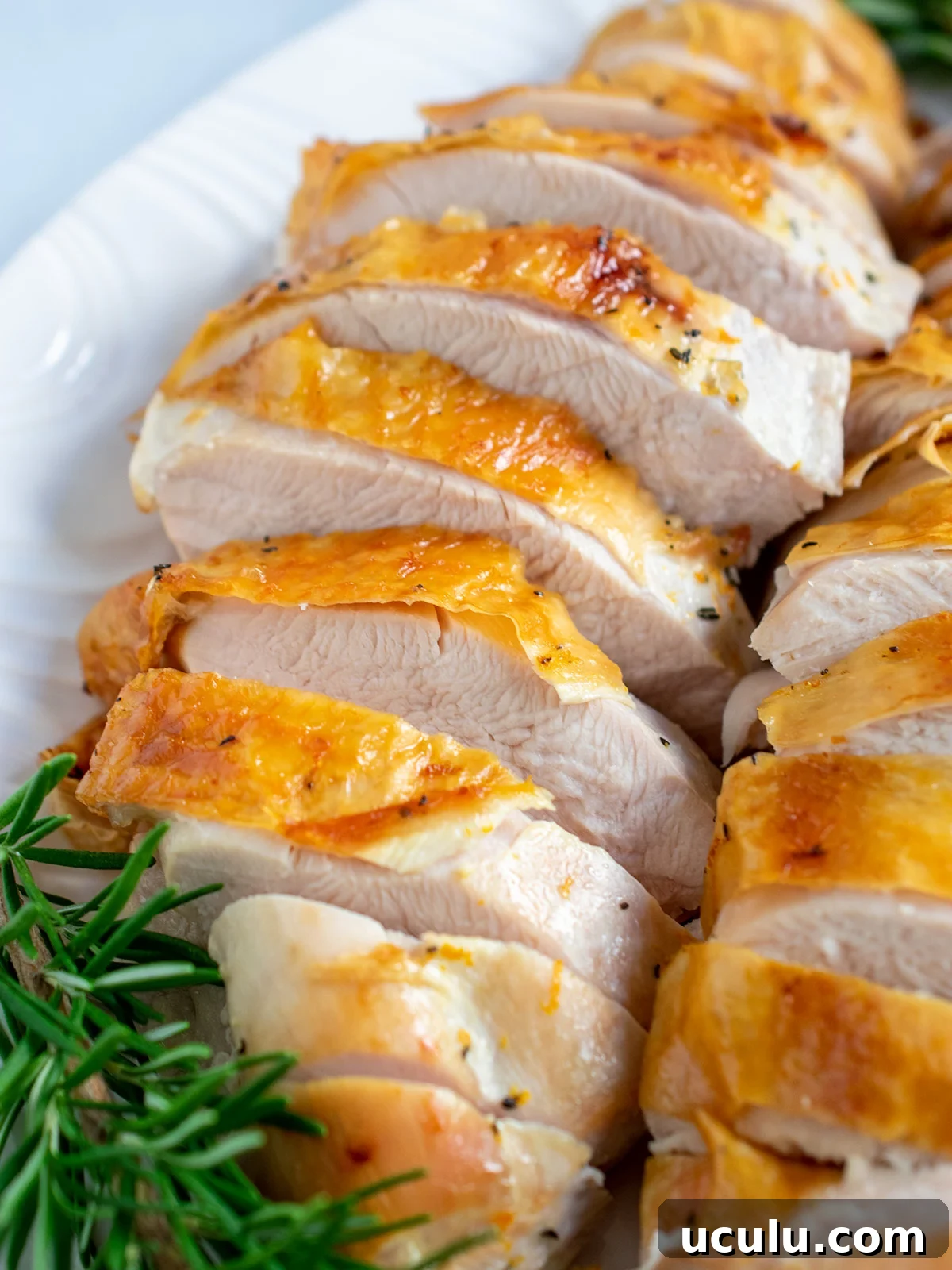 Dry brine turkey breast sliced and plated on a white plate with a fresh sprig of rosemary.