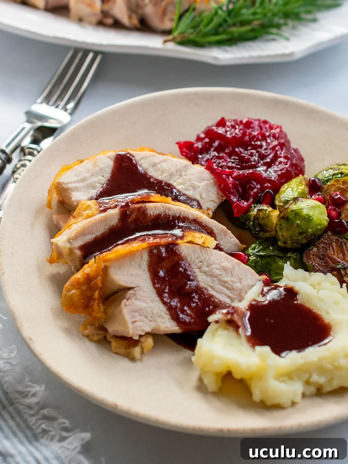 Plate of Thanksgiving food including dry brine turkey breast with pomegranate gravy and a platter of turkey in the background.