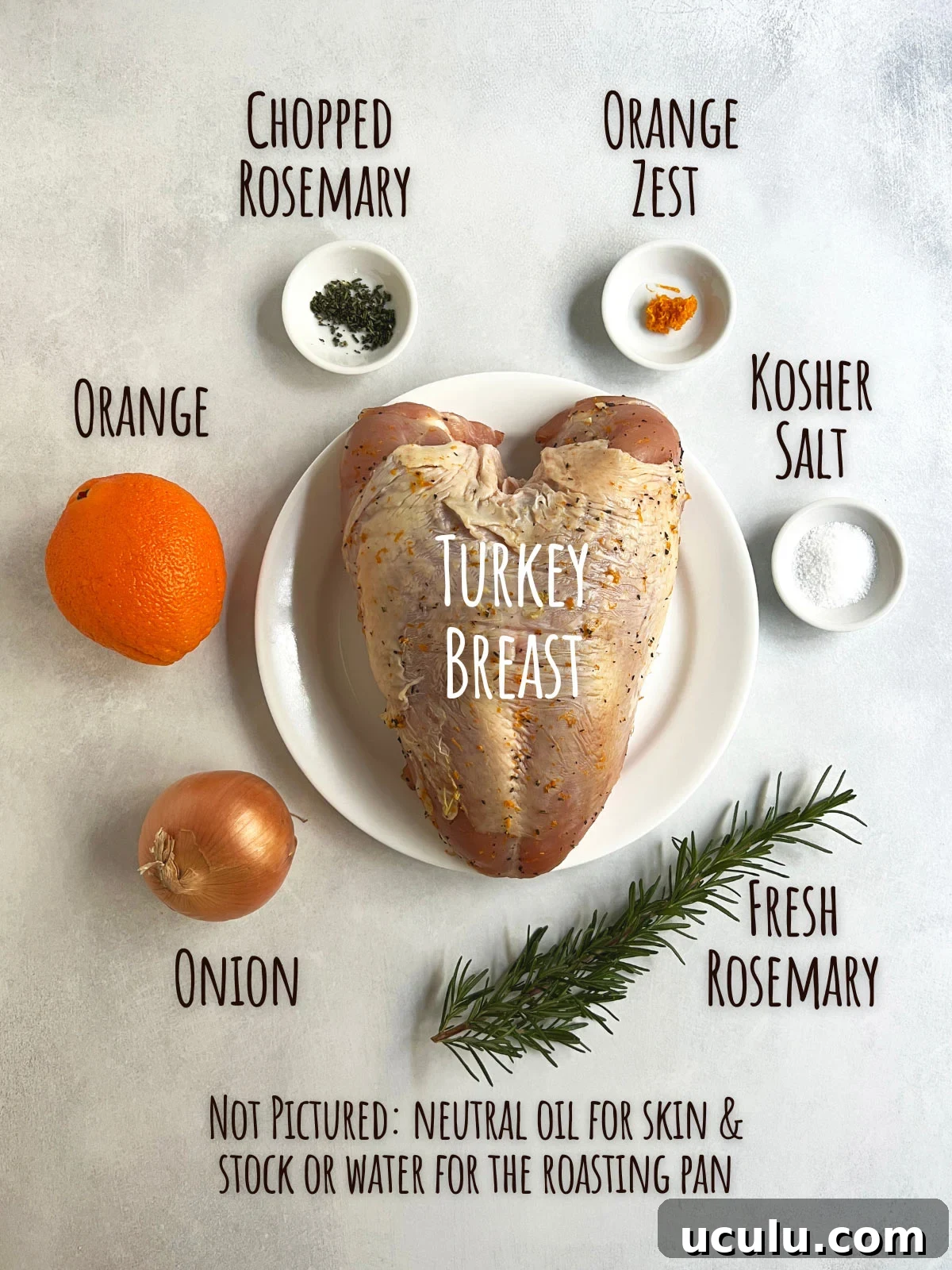 Ingredient shot for dry brine turkey breast showing turkey, salt, orange, rosemary and onion.
